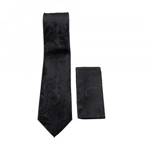 Black Paisley Tie Set