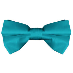 Pierre Cardin Turquoise Tuxedo Vest Bow-tie