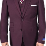 Berragamo Dapper Burgundy Slim Fit Two Button Suit-0