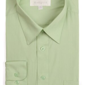 Sage Regular Fit Dress Shirt