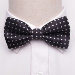 Black Bow Tie with Polka Dots
