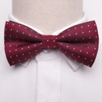 Dark Red Bow Tie with Checks
