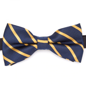 Blue and Gold Striped Bow Tie