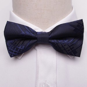 Navy Bow Tie with Pattern