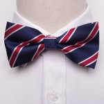 Red White and Blue Striped Bow Tie