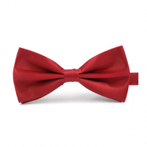 Wine Red Bow Tie
